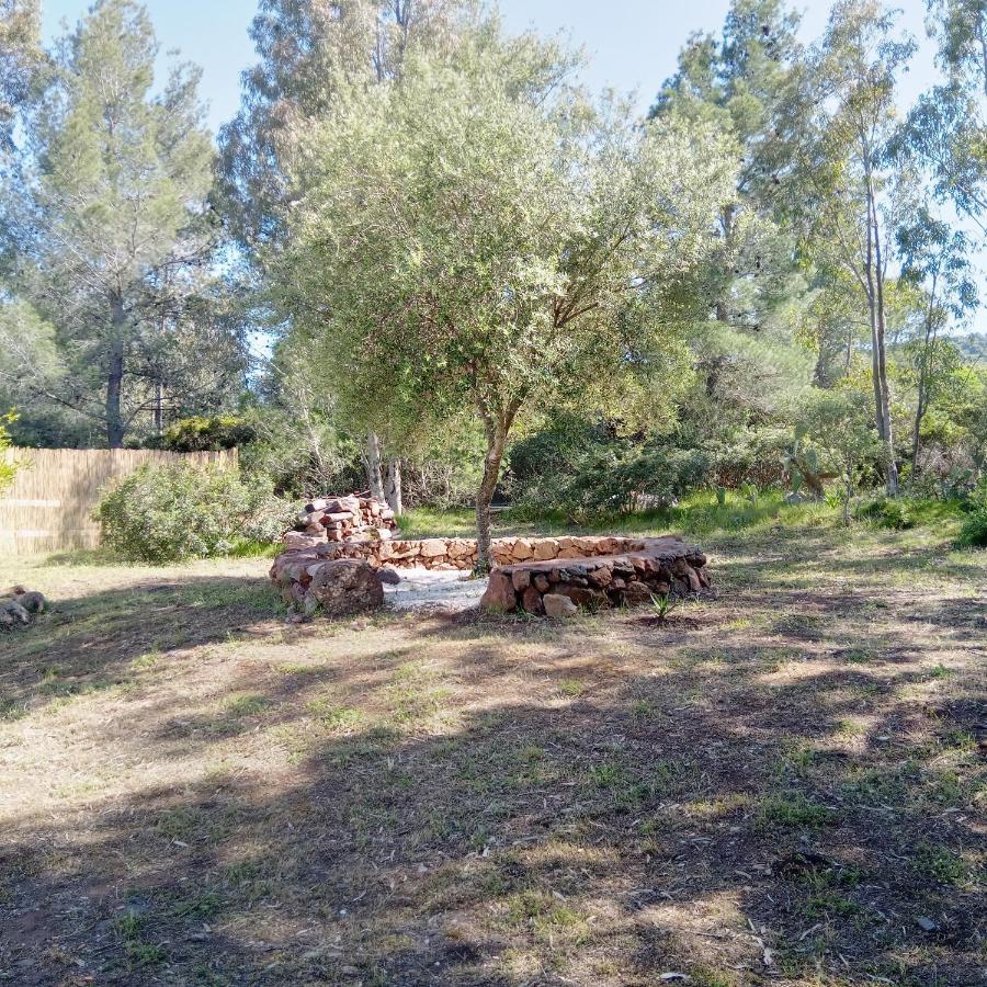Casa Di Campagna Galtelli Bagian luar foto